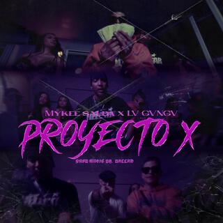 PROYECTO X