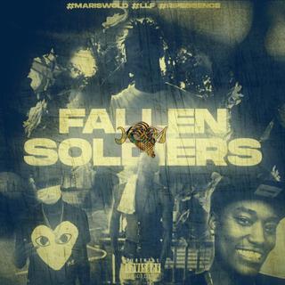 Fallen Soldiers