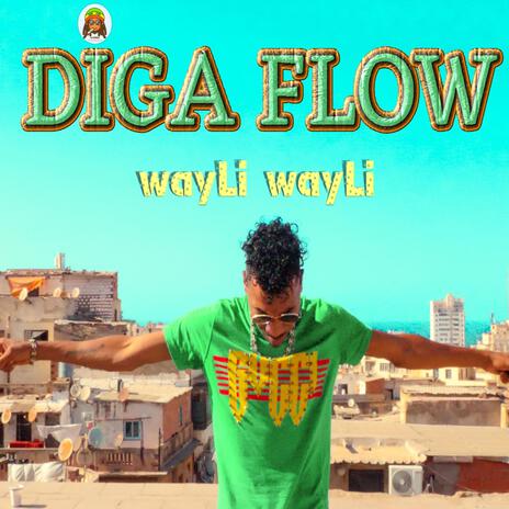 Wayli Wayli ft. Diga Flow | Boomplay Music