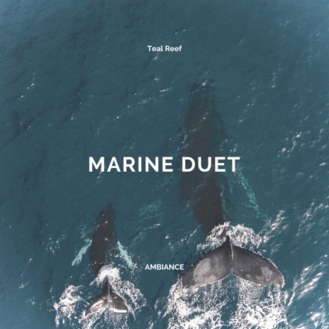 Marine Duet | Boomplay Music