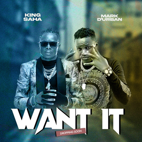 Want It ft. King Saha | Boomplay Music