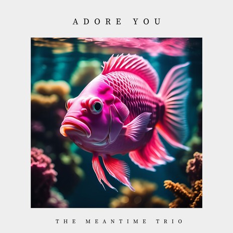 Adore You (Cover) | Boomplay Music