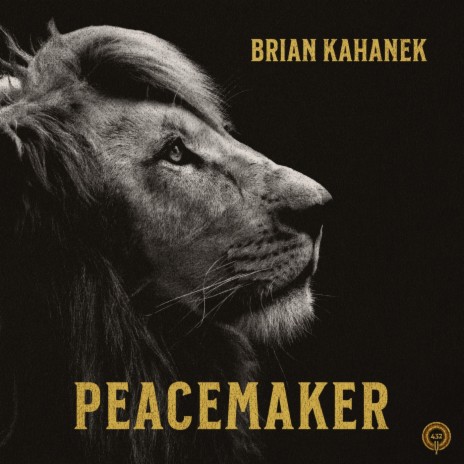 Peacemaker | Boomplay Music