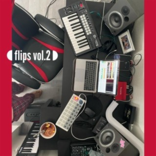 flips vol.2