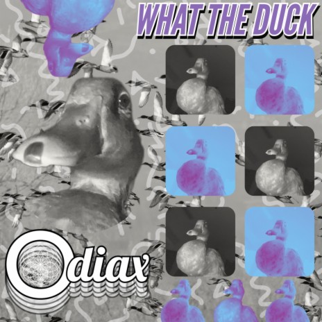 What The DUCK | Boomplay Music