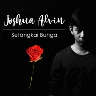 Joshua Alvin