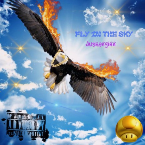 Fly In The Sky | Boomplay Music