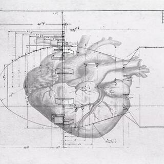 volatile heart