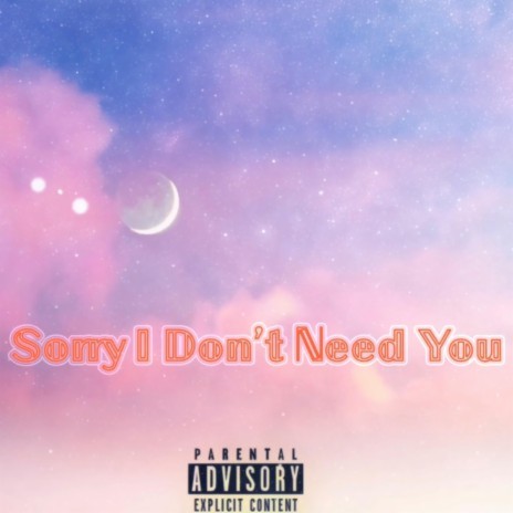 Sorry I Dont Need You | Boomplay Music