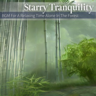 BGM For A Relaxing Time Alone In The Forest