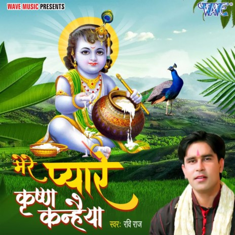 Mere Pyare Krishna Kanhaiya | Boomplay Music