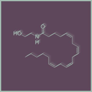 Anandamide