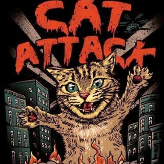 CAT ATTACK