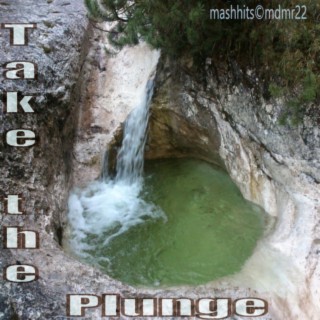 Take the Plunge