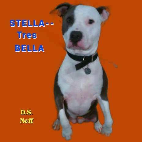 Stella--Tres Bella | Boomplay Music