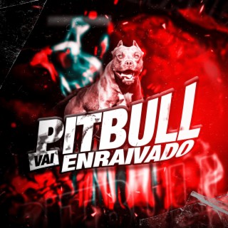 VAI PITBULL ENRAIVADO