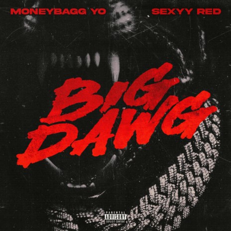 Big Dawg ft. Sexyy Red & CMG The Label | Boomplay Music