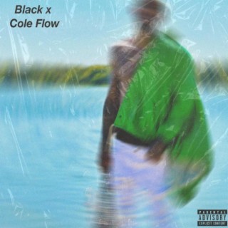 Black Cole Flow