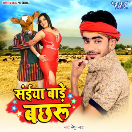 Saiya Bade Bachharu | Boomplay Music