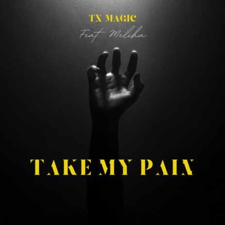 Take My Pain ft. Meliha | Boomplay Music