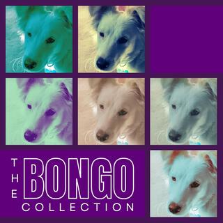 The BONGO Collection