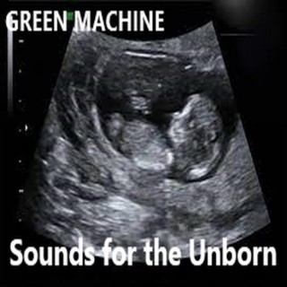 Sounds for the Unborn (2000)