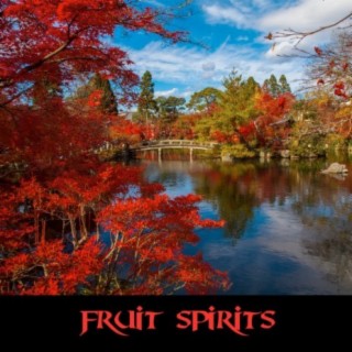 Fruits Spirits