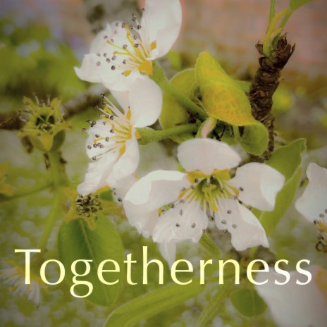 Togetherness | Boomplay Music