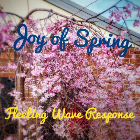 Joy of Spring | Boomplay Music