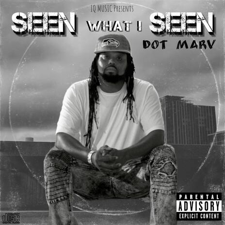 Seen What I Seen | Boomplay Music