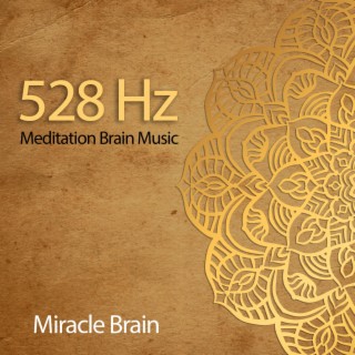 528 Hz Meditation Brain Music