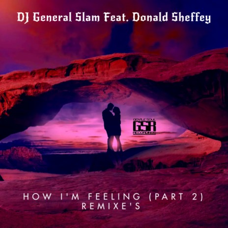 How I'm Feeling (Zoolu & Emmanuel N Remix) ft. Donald Sheffey