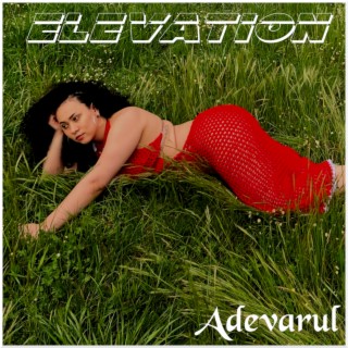 Elevation