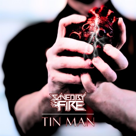 Tin Man | Boomplay Music