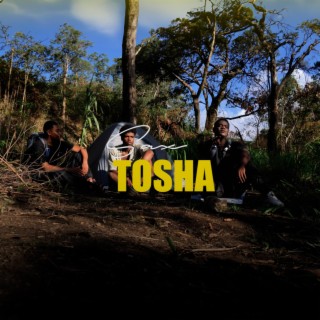 Tosha