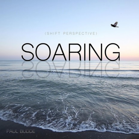 Soaring (Shift Perspective) [Live] | Boomplay Music