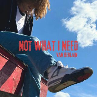 NOT WHAT I NEED lyrics | Boomplay Music