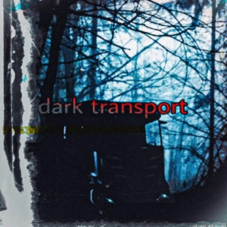 dark transport