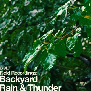 Field Recordings: Backyard Rain & Thunder