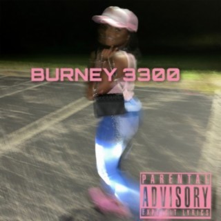 BURNEY 3300
