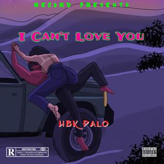 HBK Palo (I Can't Love)