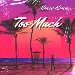 Too Much lyrics | Boomplay Music