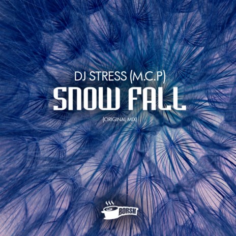 Snow Fall (Original Mix) | Boomplay Music
