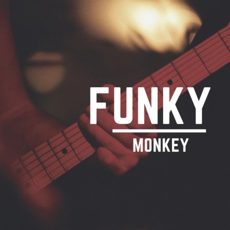 Funky Monkey | Boomplay Music