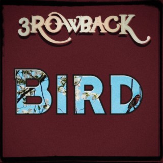 Bird lyrics | Boomplay Music