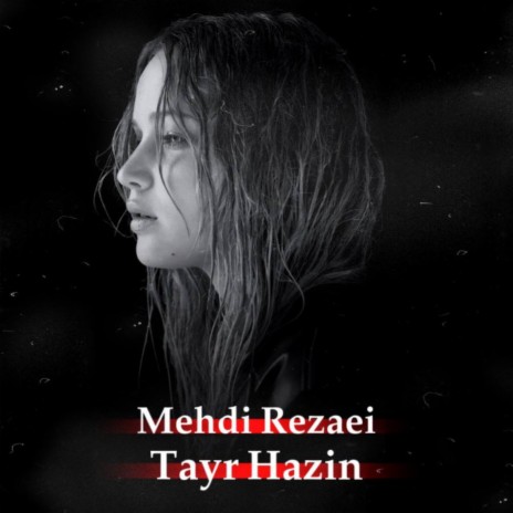 Tayr Hazin | Boomplay Music