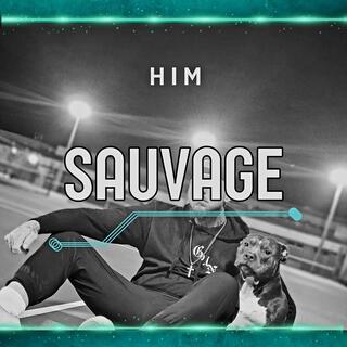 Sauvage