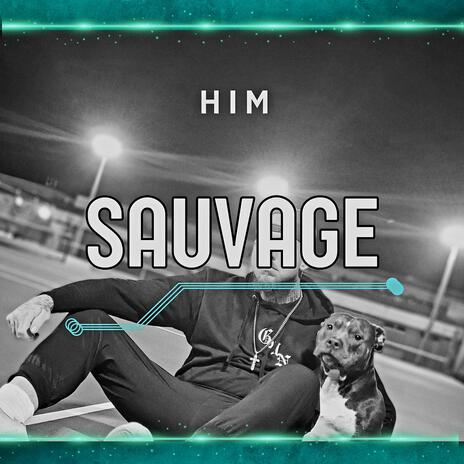 Sauvage | Boomplay Music