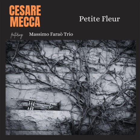 Petit Fleur ft. Massimo Faraò Trio