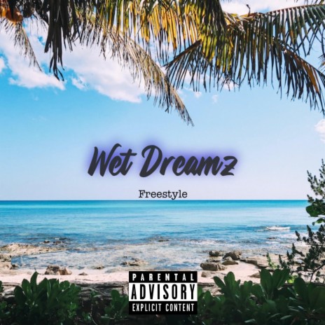 Wet Dreamz Freestyle | Boomplay Music